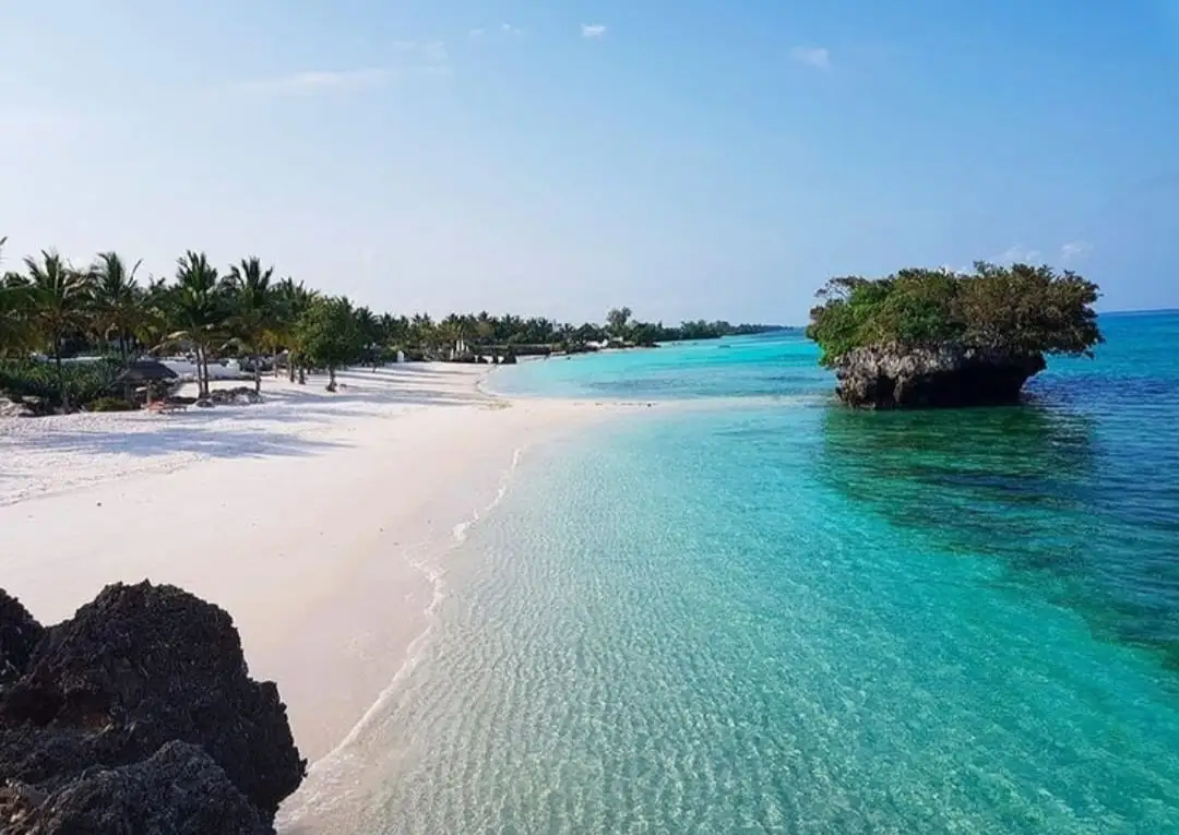 White sand curving along turquoise shallows on Pemba, palms behind the beach and a coral outcrop standing in the water.