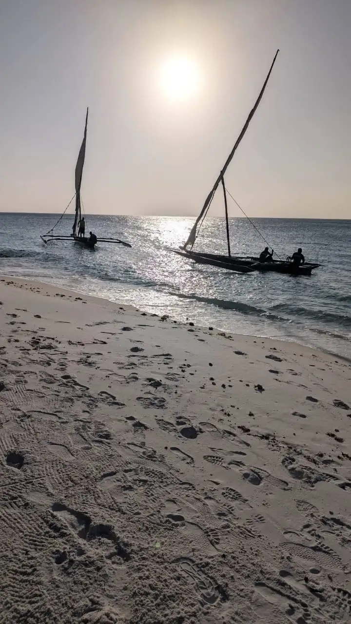 Two dhows with sails raised, silhouetted against the low sun off a wide sandy beach.