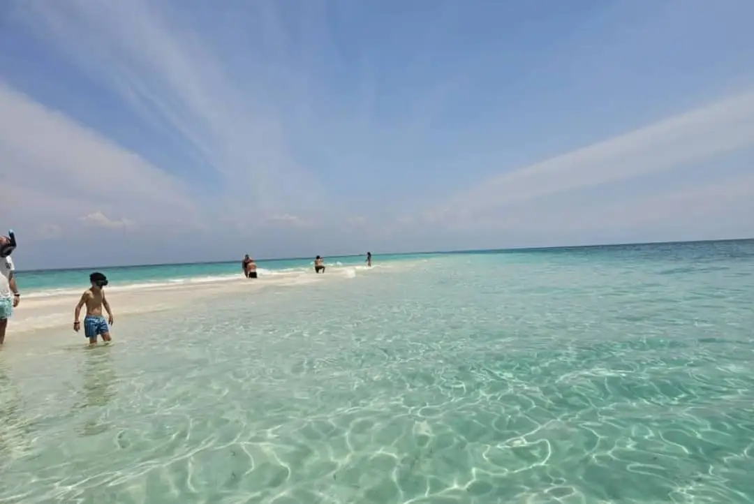 Snorkellers in masks walking into warm shallow water off the edge of the sandbank.